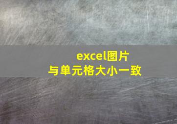 excel图片与单元格大小一致