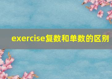 exercise复数和单数的区别