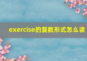 exercise的复数形式怎么读