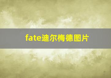 fate迪尔梅德图片