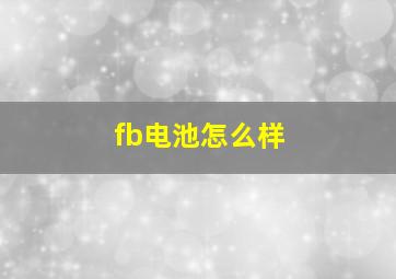 fb电池怎么样