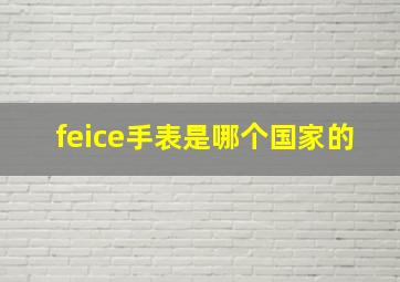 feice手表是哪个国家的