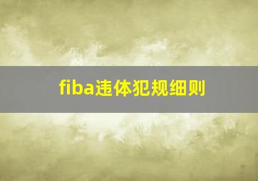 fiba违体犯规细则