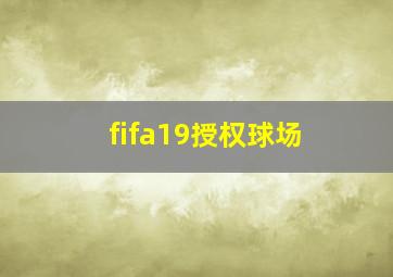 fifa19授权球场