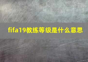 fifa19教练等级是什么意思