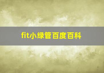 fit小绿管百度百科