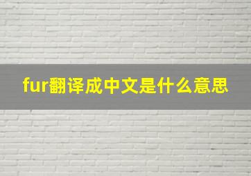 fur翻译成中文是什么意思