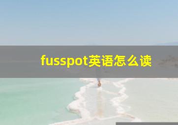 fusspot英语怎么读