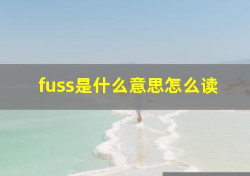 fuss是什么意思怎么读