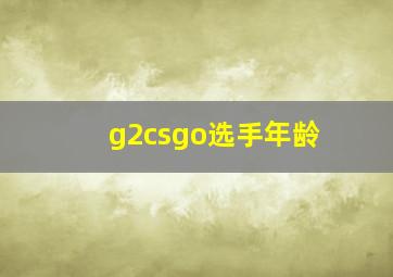 g2csgo选手年龄