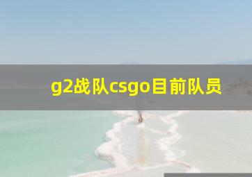 g2战队csgo目前队员