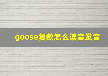 goose复数怎么读音发音