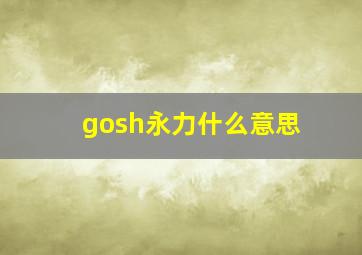 gosh永力什么意思