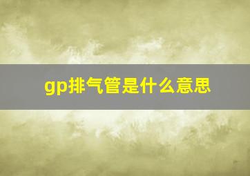 gp排气管是什么意思