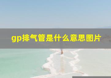 gp排气管是什么意思图片