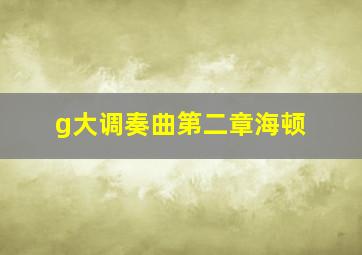 g大调奏曲第二章海顿