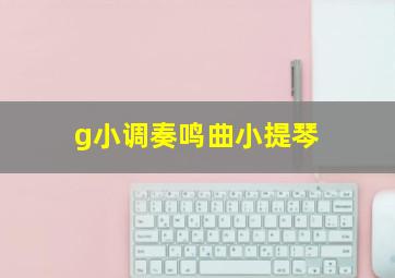 g小调奏鸣曲小提琴