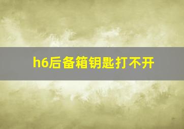 h6后备箱钥匙打不开