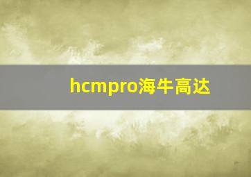 hcmpro海牛高达