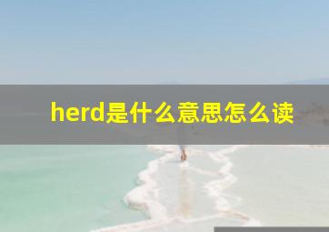 herd是什么意思怎么读