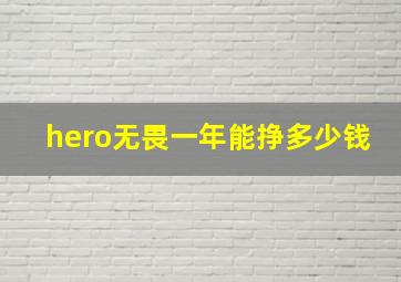 hero无畏一年能挣多少钱