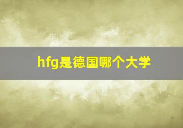 hfg是德国哪个大学