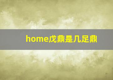 home戊鼎是几足鼎