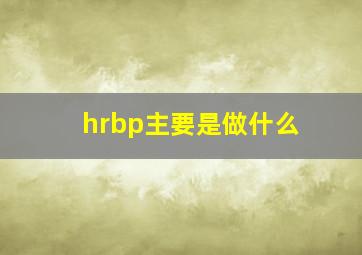 hrbp主要是做什么