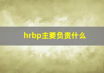 hrbp主要负责什么