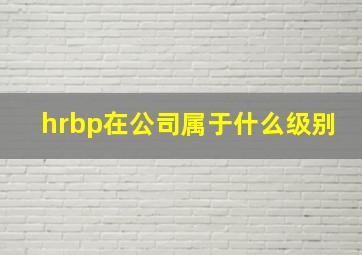 hrbp在公司属于什么级别