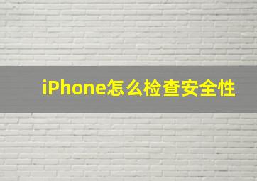 iPhone怎么检查安全性