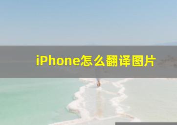 iPhone怎么翻译图片