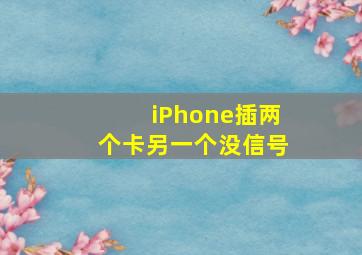 iPhone插两个卡另一个没信号