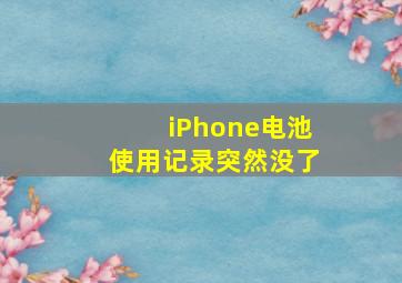 iPhone电池使用记录突然没了