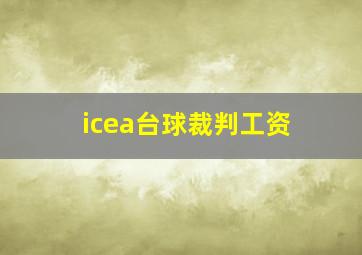 icea台球裁判工资