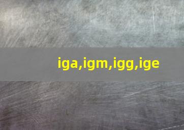 iga,igm,igg,ige