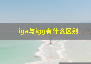 iga与igg有什么区别