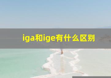 iga和ige有什么区别