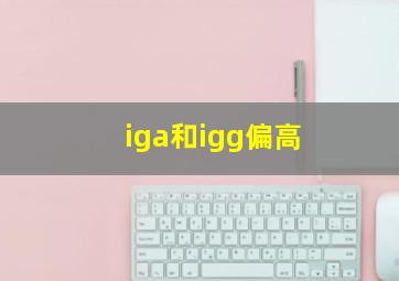 iga和igg偏高