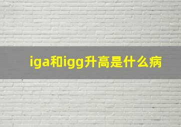 iga和igg升高是什么病