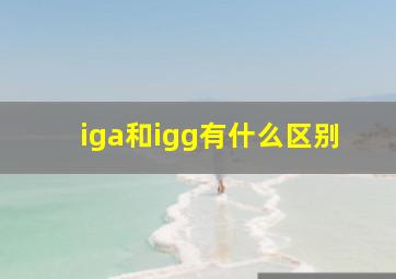 iga和igg有什么区别