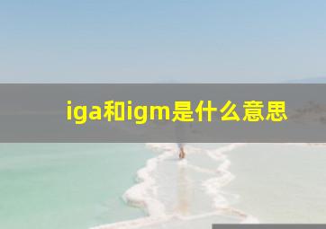 iga和igm是什么意思