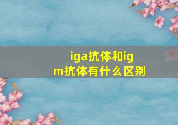 iga抗体和igm抗体有什么区别