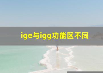 ige与igg功能区不同