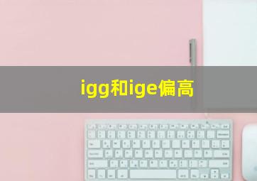 igg和ige偏高