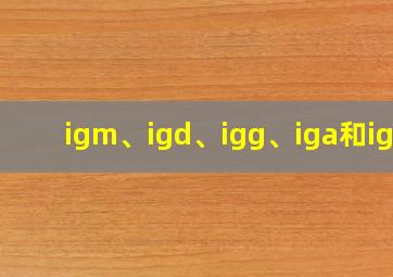 igm、igd、igg、iga和ige