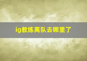 ig教练离队去哪里了