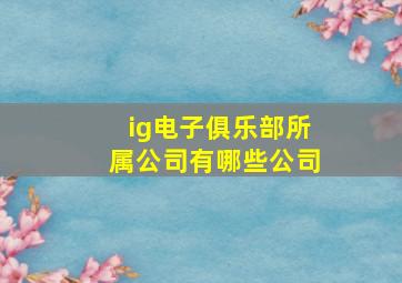 ig电子俱乐部所属公司有哪些公司