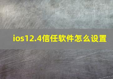 ios12.4信任软件怎么设置