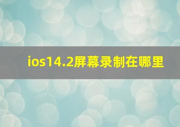 ios14.2屏幕录制在哪里